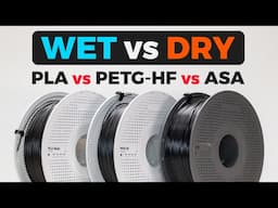 WET vs DRY filament STRENGTH: Bambu PLA vs PETG-HF vs ASA