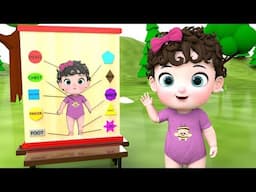 Little Baby Girl Fun Play With Wooden Body Parts | 3D Animated Cartoon Wooden Body Parts Puzzle