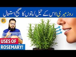 Rosemary Ke Patte/Oil Ke Fayde | Rosemary Leaves/Oil Benefits & Uses | Dr. Ibrahim