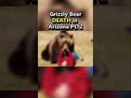 Grizzly Bear Death in Arizona 😱 #shorts