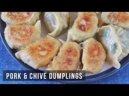 Pan-Fried Pork & Chive Dumplings | 猪肉韭菜煎饺