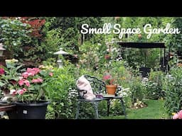 How I Grow Plants In A Small Space | Perennial Flower Tour