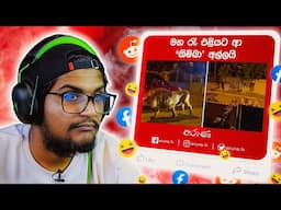 මහ රෑ එලි බැහැපු දරුනු සතා !! | The kota