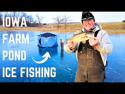 ICE FISHING IOWA FARM PONDS - Catch, Clean, Cook & Hammering Crappie!