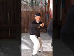 Mantis leg techniques 02 #martialarts #traditionalkungfu #tanglangquan