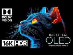 Unbelievable OLED DEMO 16K HDR 120fps Dolby Vision 16K Video ULTRA HD