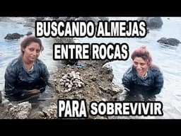 Así lucha esta Linda Joven emprendedora  para SOBREVIVIR  Recolectando Almejas en el Jagüey La Unión