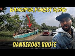 Bandipur Forest's Brutal Reality Check You Won't Believe