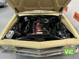 1972 HQ Holden Utility - Engine Video