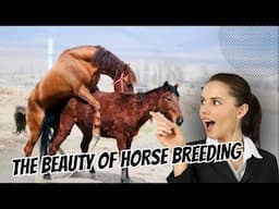 Celebrating the Beauty of Horse Breeding: Nature’s Miracle