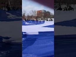 Fleurdelisé: Jour du drapeau 21 jan 2025  #quebec