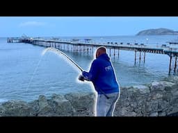 Fishing the MIGHTY Llandudno WALL❗️