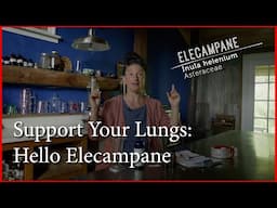 Supporting Lung Health With Elecampane: How to use this powerful herbal remedy.