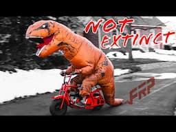 Pet T-REX Gets Mini Bike and Won't STOP Having FUN! | FRP GMB100 Review