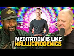 Meditation is like Doing Hallucinogens | The Danny Brown Show Highlight