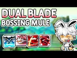 Dual Blade Bossing Mule Guide - MapleStory (2025)