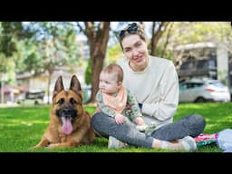 Sunday Fun day | German Shepherd & baby play with bubbles for the first time.