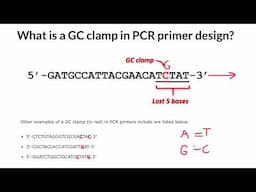 What is a GC-Clamp in PCR primer design?