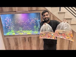 Ghr K Aquarium Ko Colour Fishes Se Bhr Diya😍