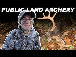 PA Big Woods Deer Hunting * PUBLIC LAND SUCCESS *