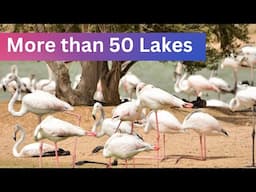 Dubai ke Desert main 50 Se bhi zyada lakes | Al Qudra Lakes