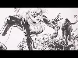 Art Advice While Drawing Black Cat (From Kim Jung Gi/ Super Ani)