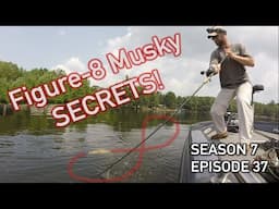 Figure-8 Secrets: Unlocking the Key to LAZY Muskie Follows! S7.E37