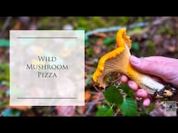 EP12 Taking a Trip Into the PNW Mountains to Find Wild Mushrooms for the Homestead