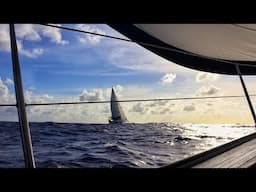 Catch me if you can! Let's sail to Bora Bora - EP 167 Sailing Seatramp