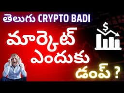 Why Crypto Market Crashed in Telugu ? | Bitcoin Crash | Why Crypto Dump | Telugu Crypto Badi