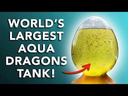 GIANT Aqua Dragons Eggspress!