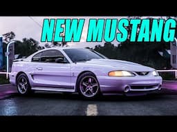 PLAYING WITH THE NEW MUSTANG EARLY AND GOING FOR TOP 1000 ON FORZA HORIZON 5