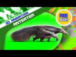 Green Screen Anteater Hunter of Ants 3D Animations PixelBoom