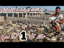 Modern Goat Farming Business Idea ll Pak Biggest Goat Farm Zeshan Goat Farm #goat #business #farming