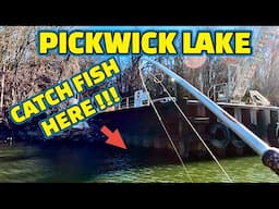 EXTREMELY AGGRESSIVE FISH BITE !! Fishing PICKWICK LAKE on TENNESSEE RIVER ( Mr. JIMMY)