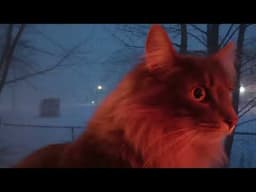 Dart and the Thundersnow (Full Video)