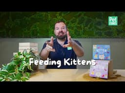 How to Feed Kittens: Nutrition Tips for Growth and Health