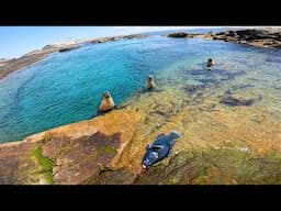 Crazy Experience Sight Casting in a Rock Pool!