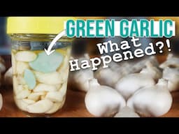 WHY GARLIC TURNS GREEN (or blue) IN VINEGAR & FERMENTATIONS - Is Green Garlic Safe To Eat?