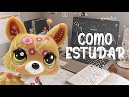 DICAS PARA ESTUDAR 📌