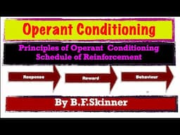 Operant Conditioning | Schedule of Reinforcement | B.F Skinner