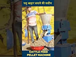 घंटे में 300 किलो पशु आहार बनाने वाली मशीन Cattle Feed Machine #ytshorts #shorts #pelletmachine