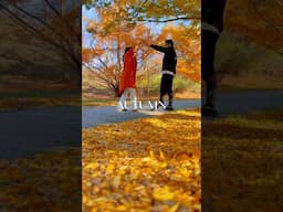 Autumn!🍁 #bangladeshi #autumn #fall #usabanglavlog #usalife #shots #shotsviral #bangladeshivlogger