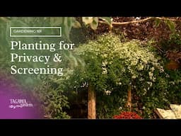 Planting for Privacy and Screening by Tagawa Gardens