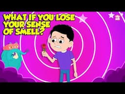 Can't Smell Anything? | What if You Lost Your Sense of Smell? | What is Anosmia? | Dr. Binocs Show