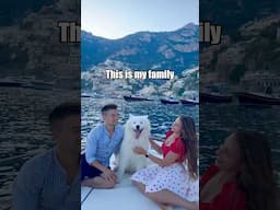 My dog knocks out his dad 😵 #fun #comedy #yoga #samoyed #dog #prank #family