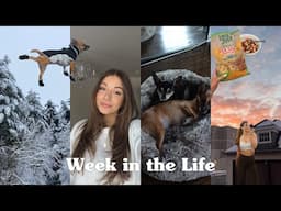 spend the week with me | snow days, trying to embrace winter, hair appointment, workouts and moreee!