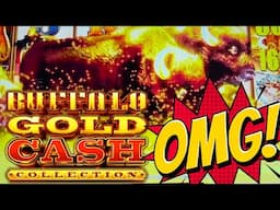 AMAZING!! BUFFALOES RAN ACROSS MY SCREEN!! 🤑 BUFFALO GOLD CASH COLLECTION Slot Machine (Aristocrat)