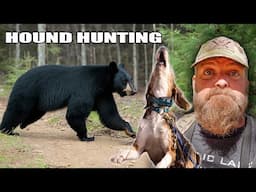 Epic Bear Hunt with HOUNDS in New Hampshire!! (4 Bears in One Day)