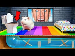 Hamster Maze - Great Escape! SQUID GAME vs BEAST GAMES CHALLENGE!!!